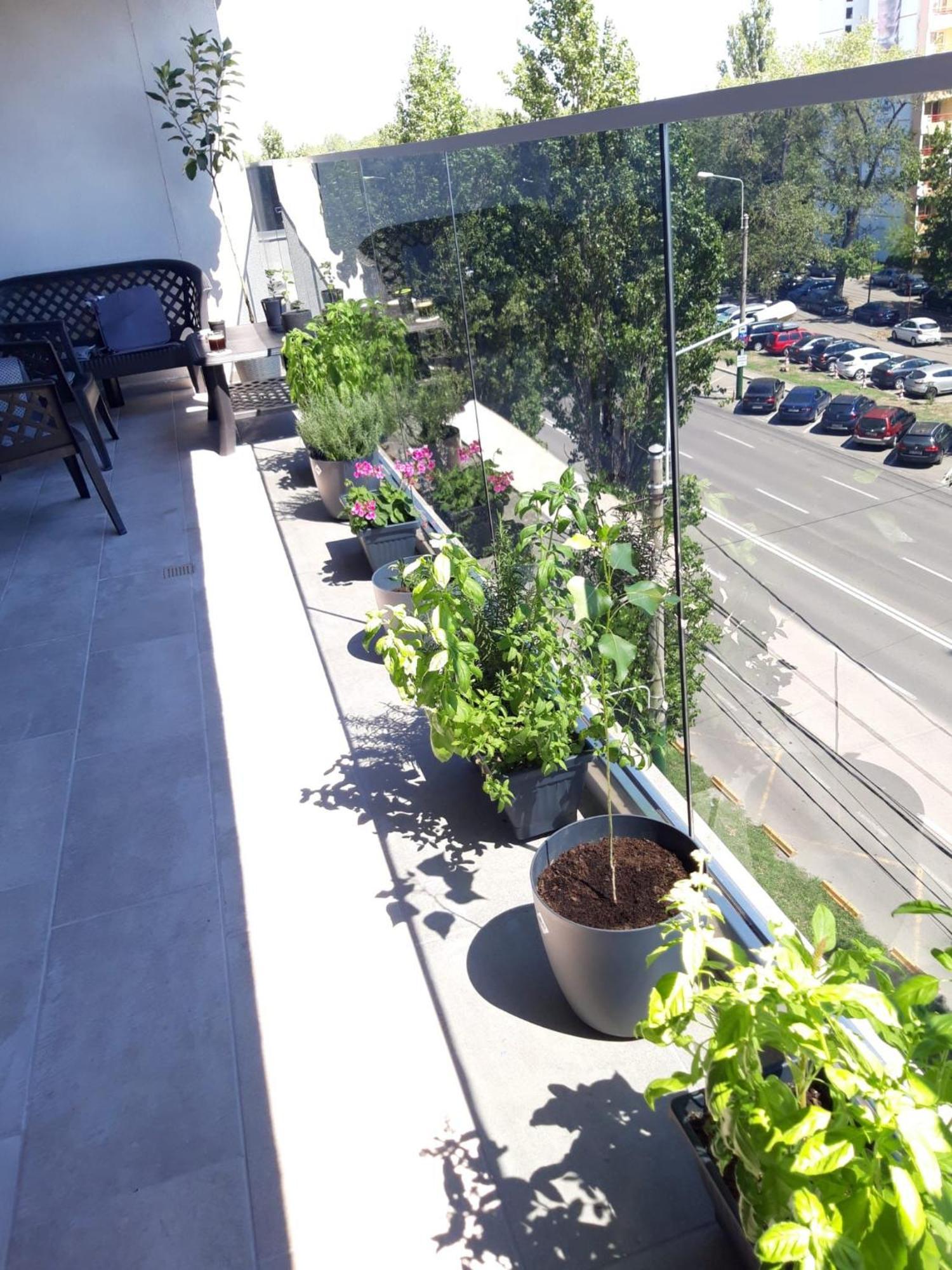 Elysse Sunrise Apartment Mamaia Bagian luar foto
